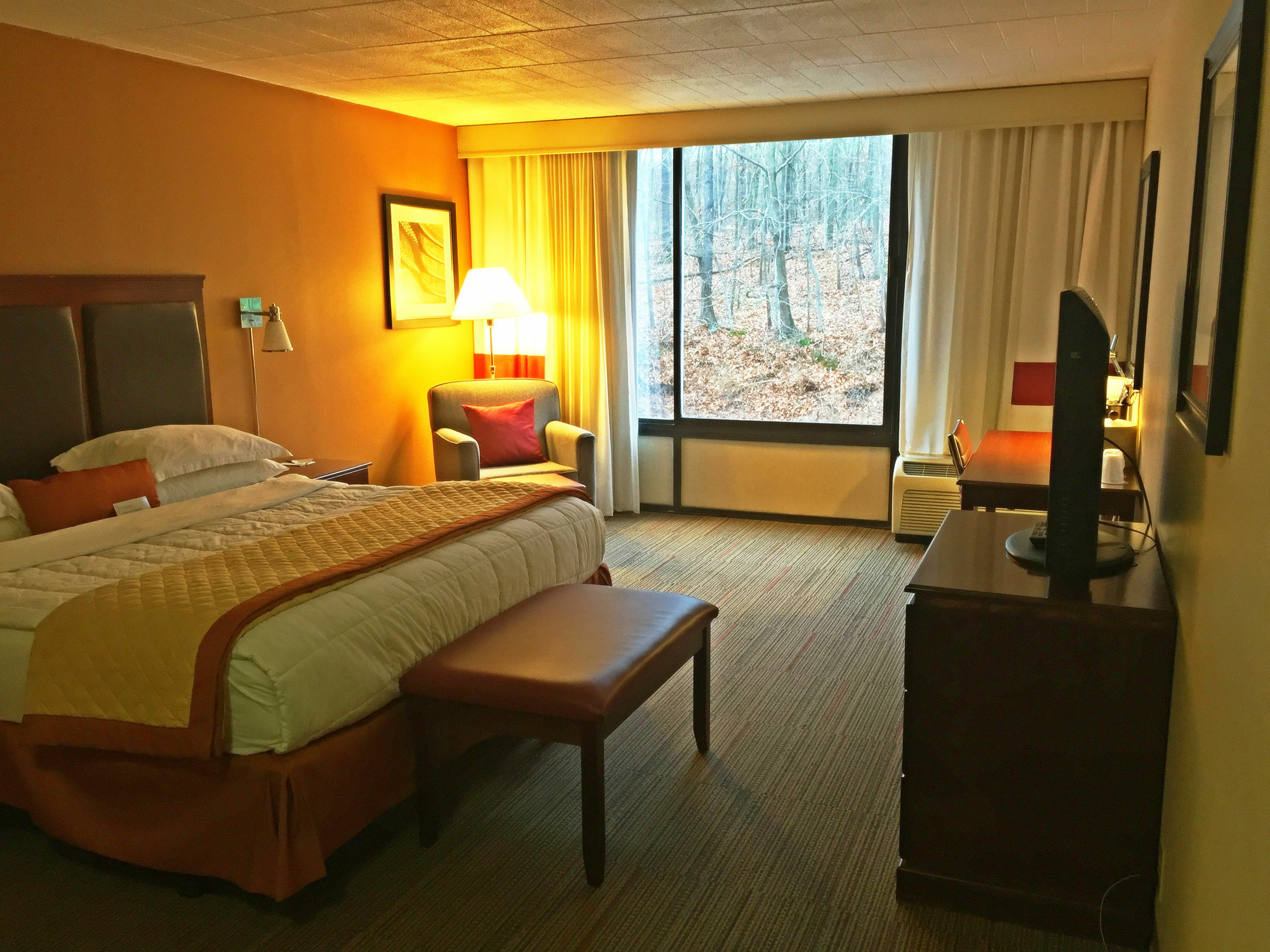 Wyndham Garden Inn Pittsburgh Airport Robinson Township Exteriör bild